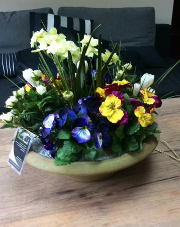 narcisse pensée rosier crocus